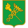 Значок ФТС России