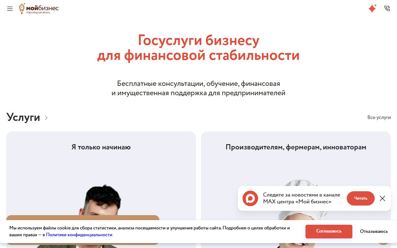Мой бизнес Новосибирская область — снимок сайта