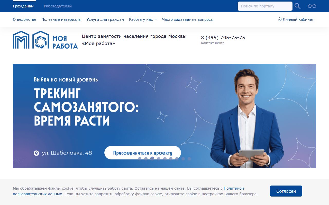 Моя работа — снимок сайта