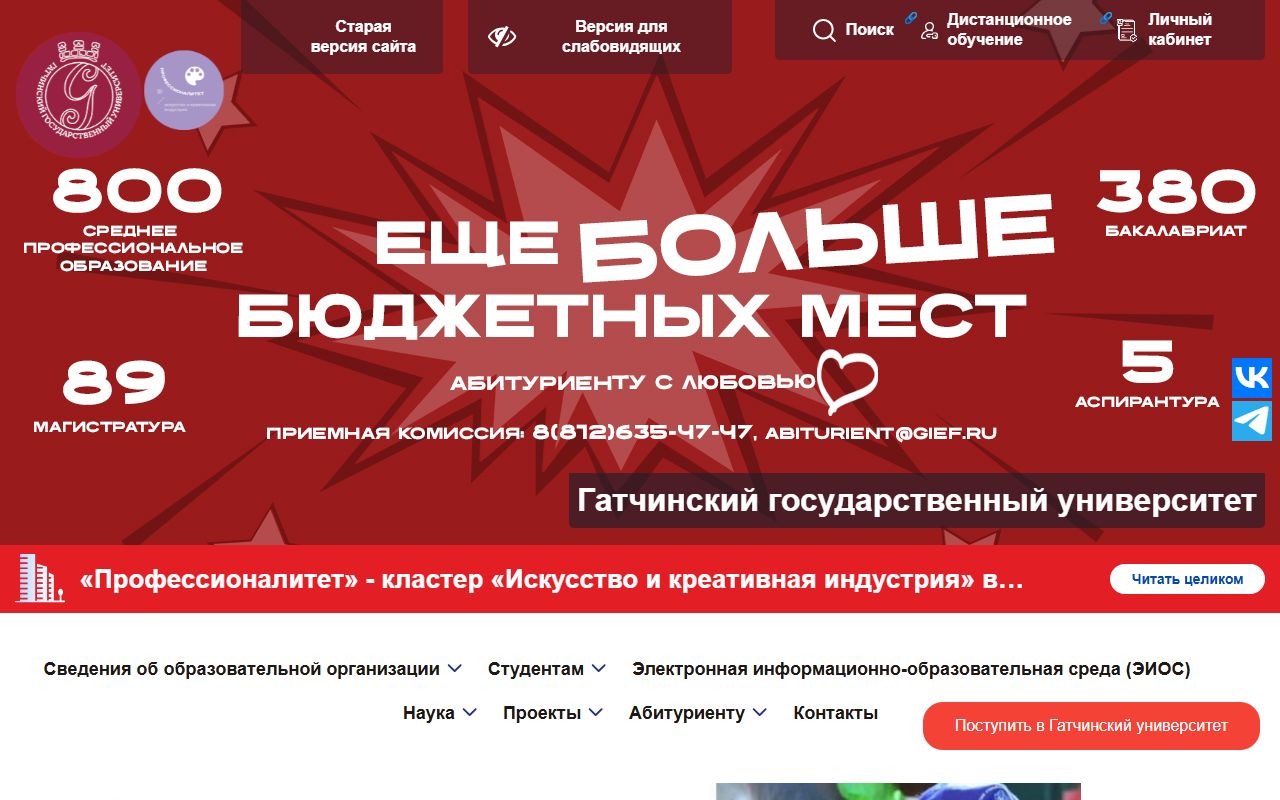 Гатчинский государственный университет — снимок сайта