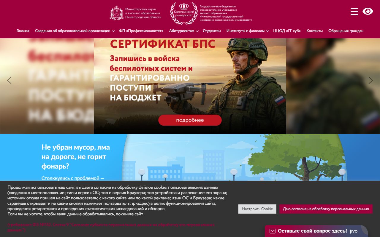 Нижегородский государственный инженерно-экономический университет — снимок сайта