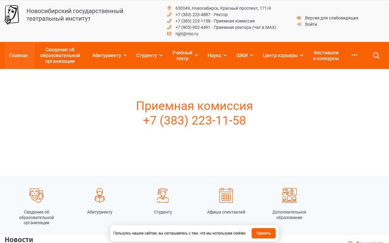 Новосибирский государственный театральный институт — снимок сайта
