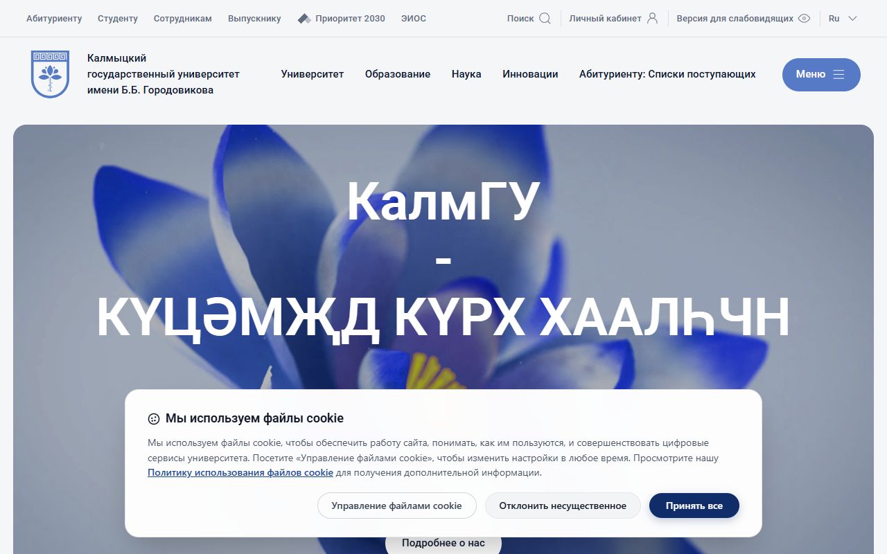Калмыцкий государственный университет имени Б.Б. Городовикова — снимок сайта