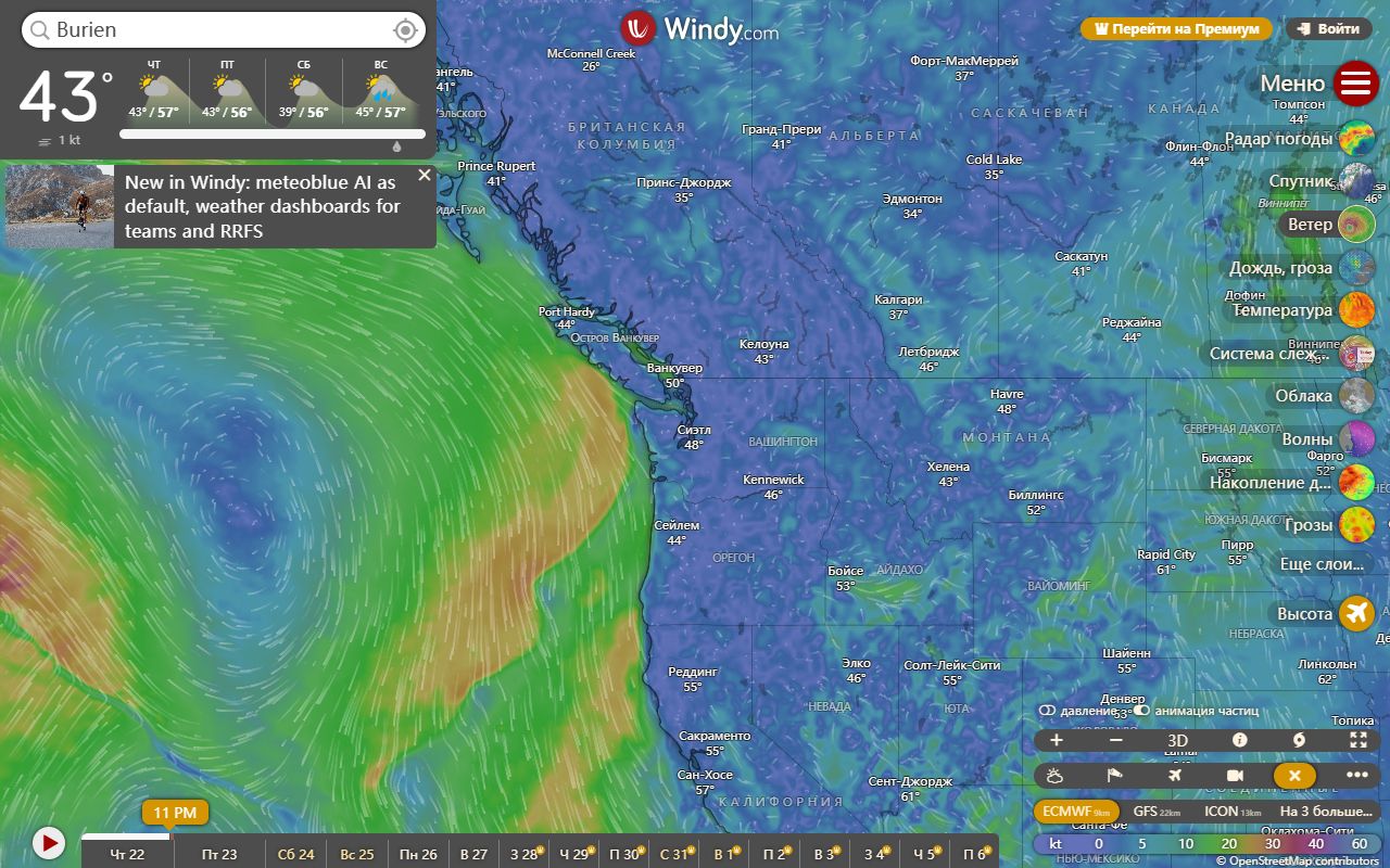 Windy — снимок сайта